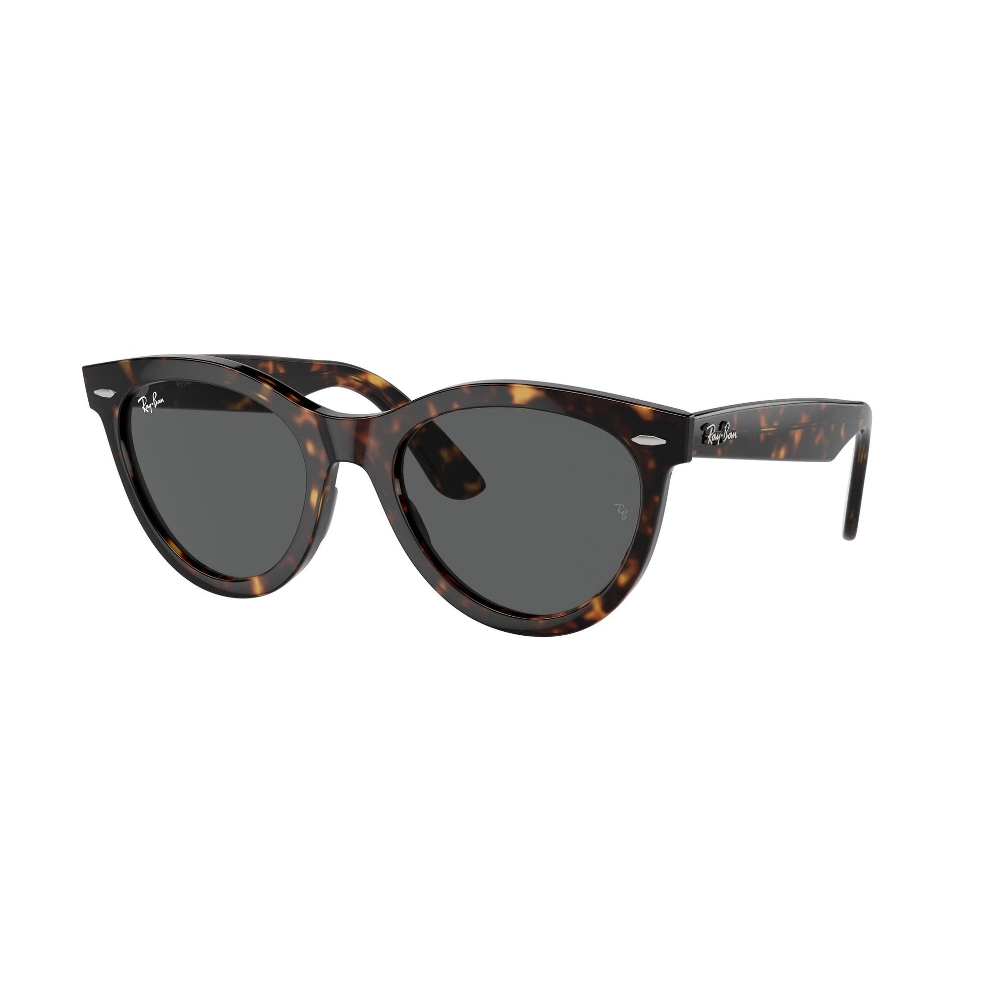 Ray-Ban 2241 SOLE