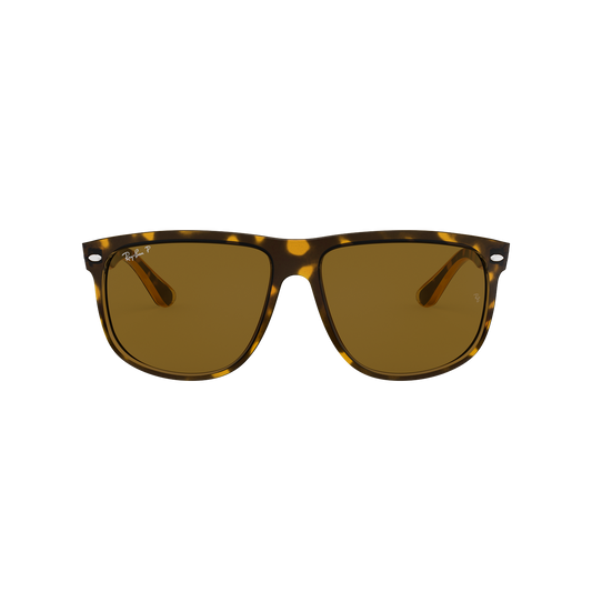 Ray-Ban 4147 SOLE