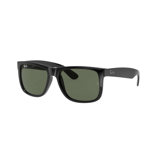 Ray-Ban 4165 SOLE