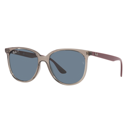 Ray-Ban 4378 SOLE