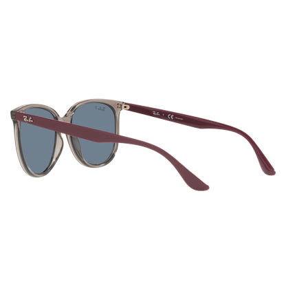 Ray-Ban 4378 SOLE
