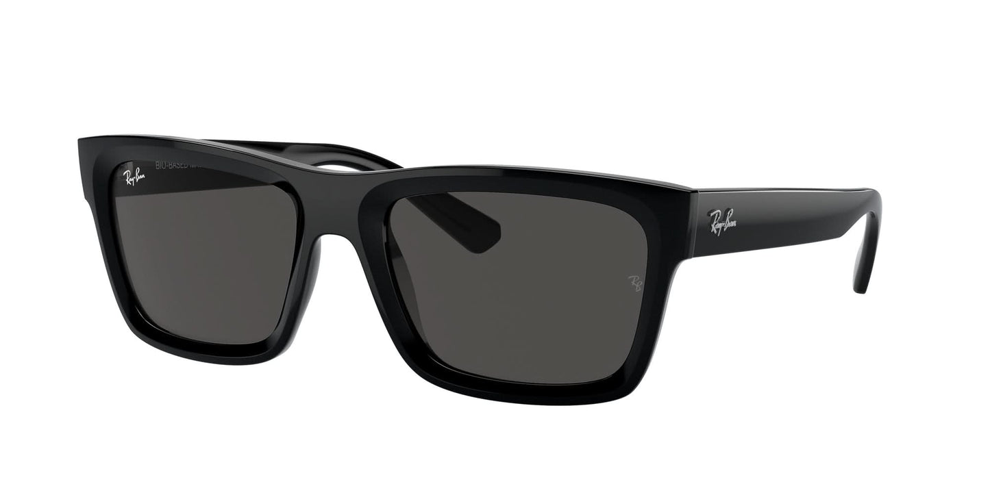 Ray-Ban 4396 SOLE