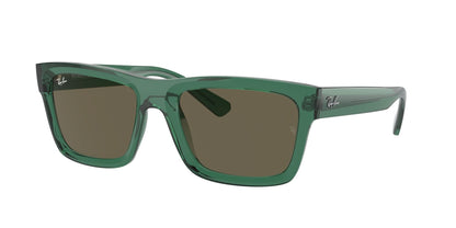 Ray-Ban 4396 SOLE