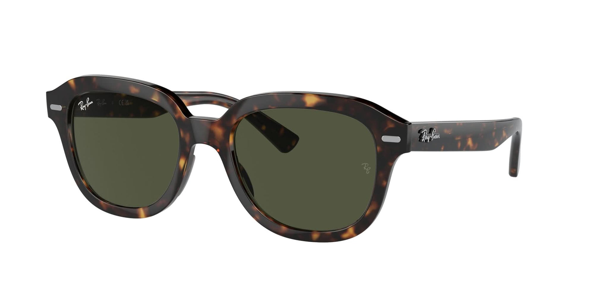 Ray-Ban 4398 SOLE