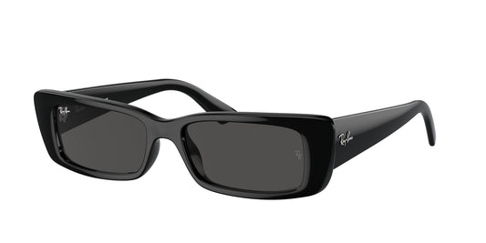 Ray-Ban 4425 SOLE