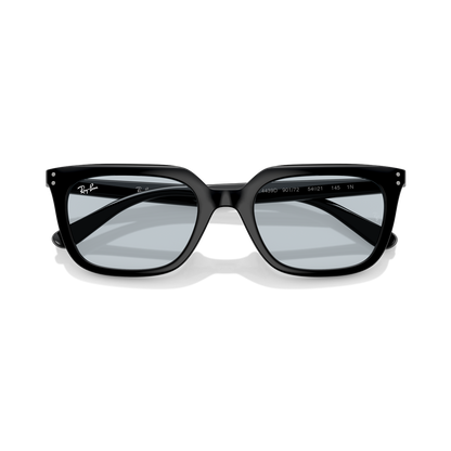 Ray-Ban 4439D vista 2
