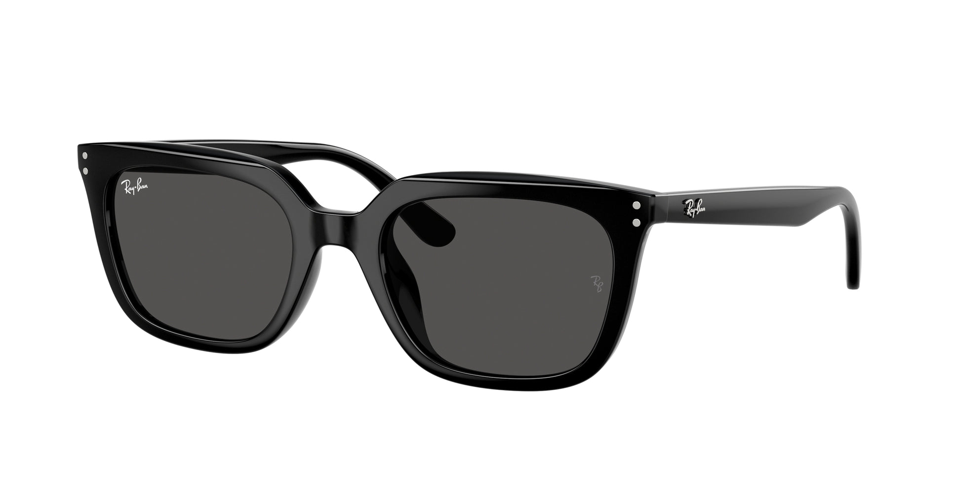 Ray-Ban 4439D SOLE