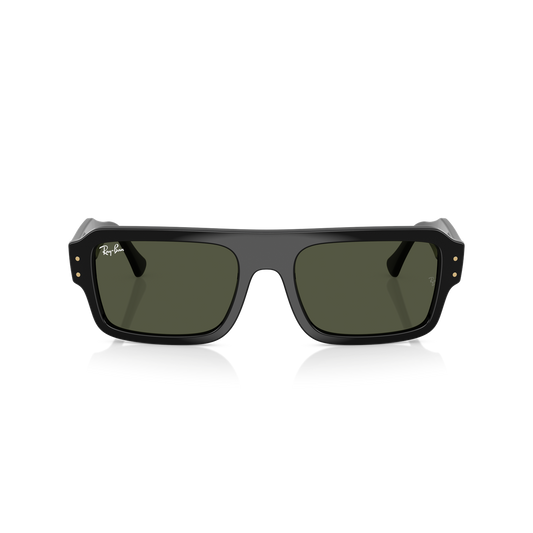 Ray-Ban 4454 SOLE 667731
