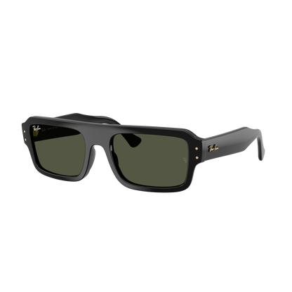 Ray-Ban 4454 SOLE 667731