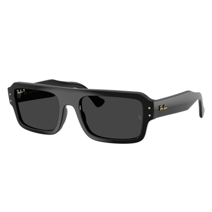 Ray-Ban 4454 SOLE 667748