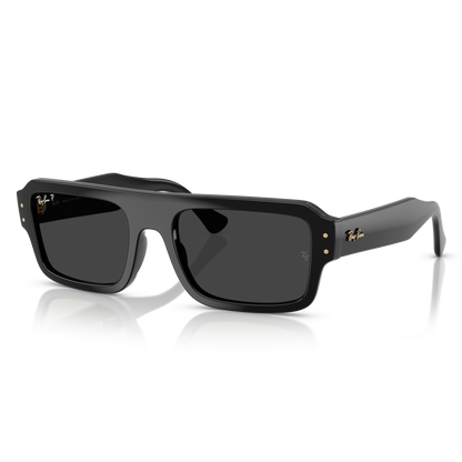 Ray-Ban 4454 SOLE 667748