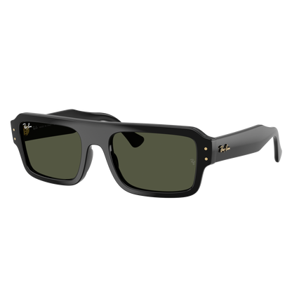 Ray-Ban 4454 SOLE 667731