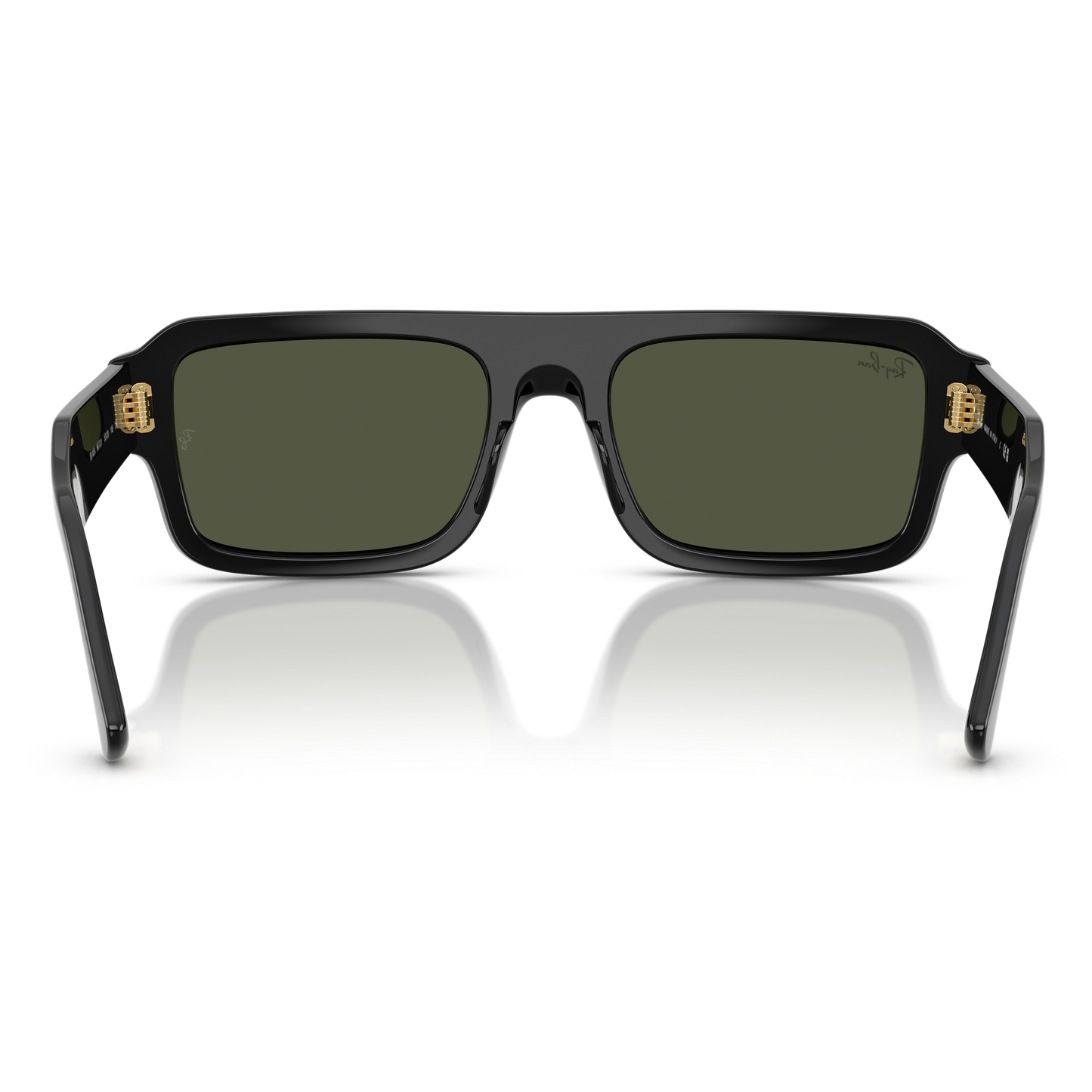 Ray-Ban 4454 SOLE 667731