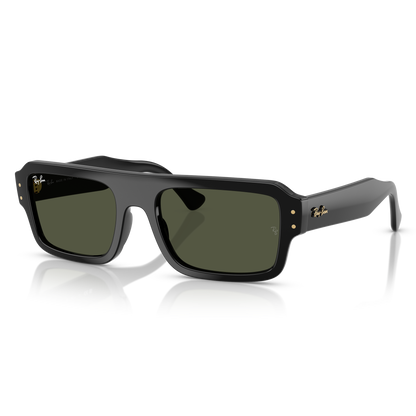 Ray-Ban 4454 SOLE 667731