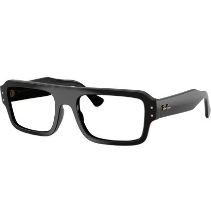 Ray-Ban 4454 SOLE 667731