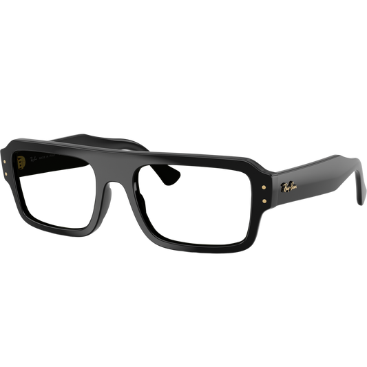 Ray-Ban 4454 SOLE 667731