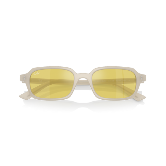 Ray-Ban RB4455 68086D / 49 vista 2