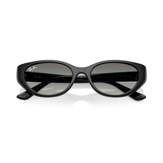 Ray-Ban 4457D vista 2