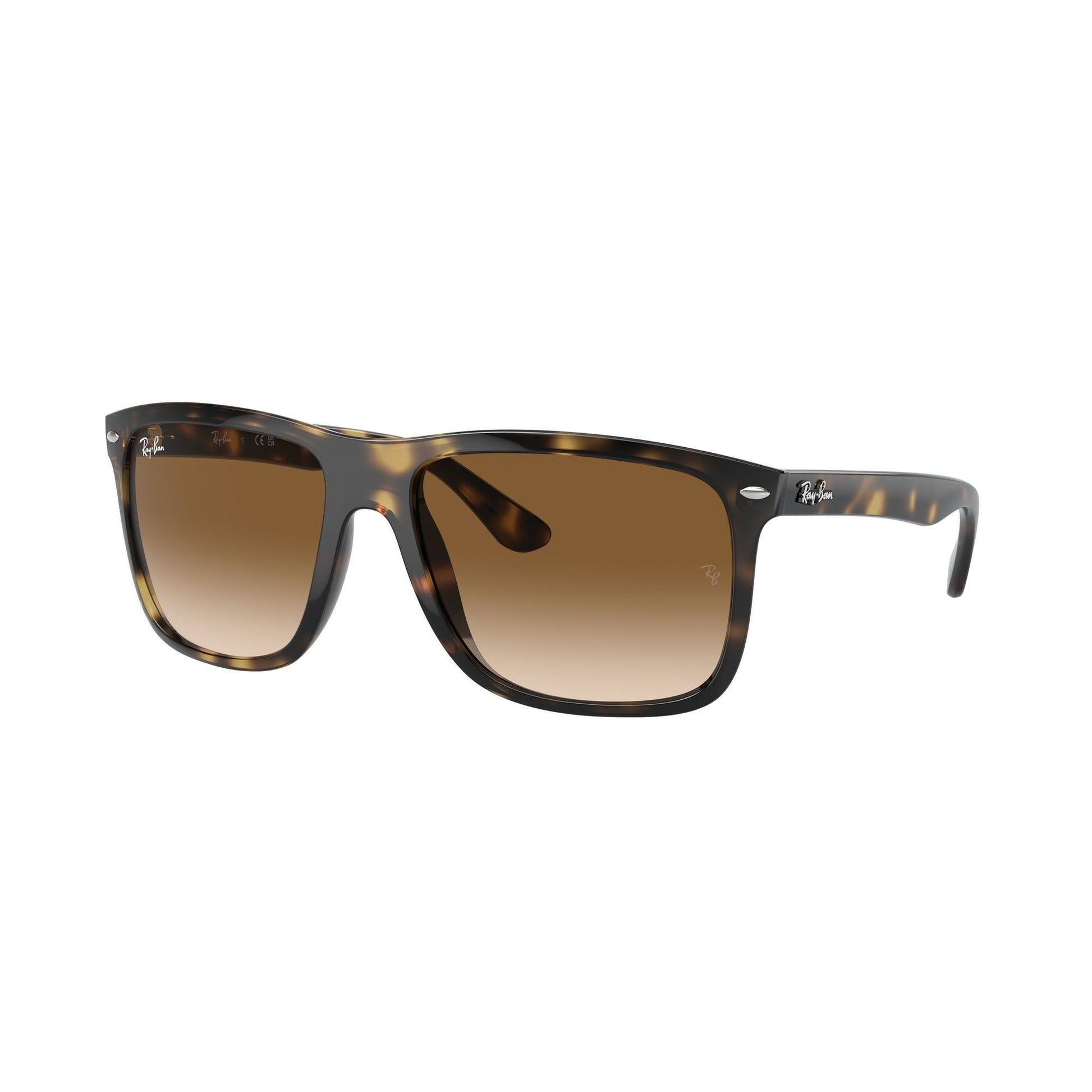 Ray-Ban 4547 SOLE