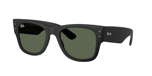 Ray-Ban 4840S SOLE