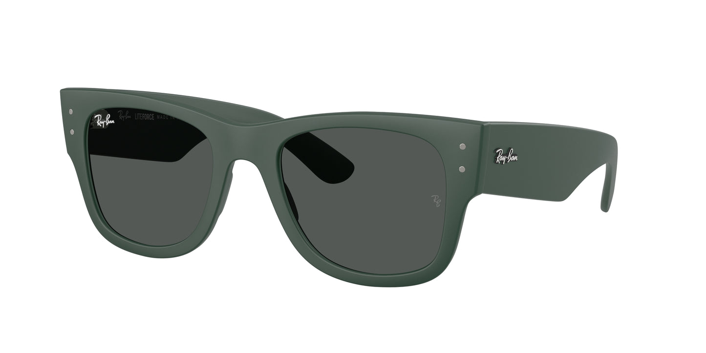 Ray-Ban 4840S SOLE