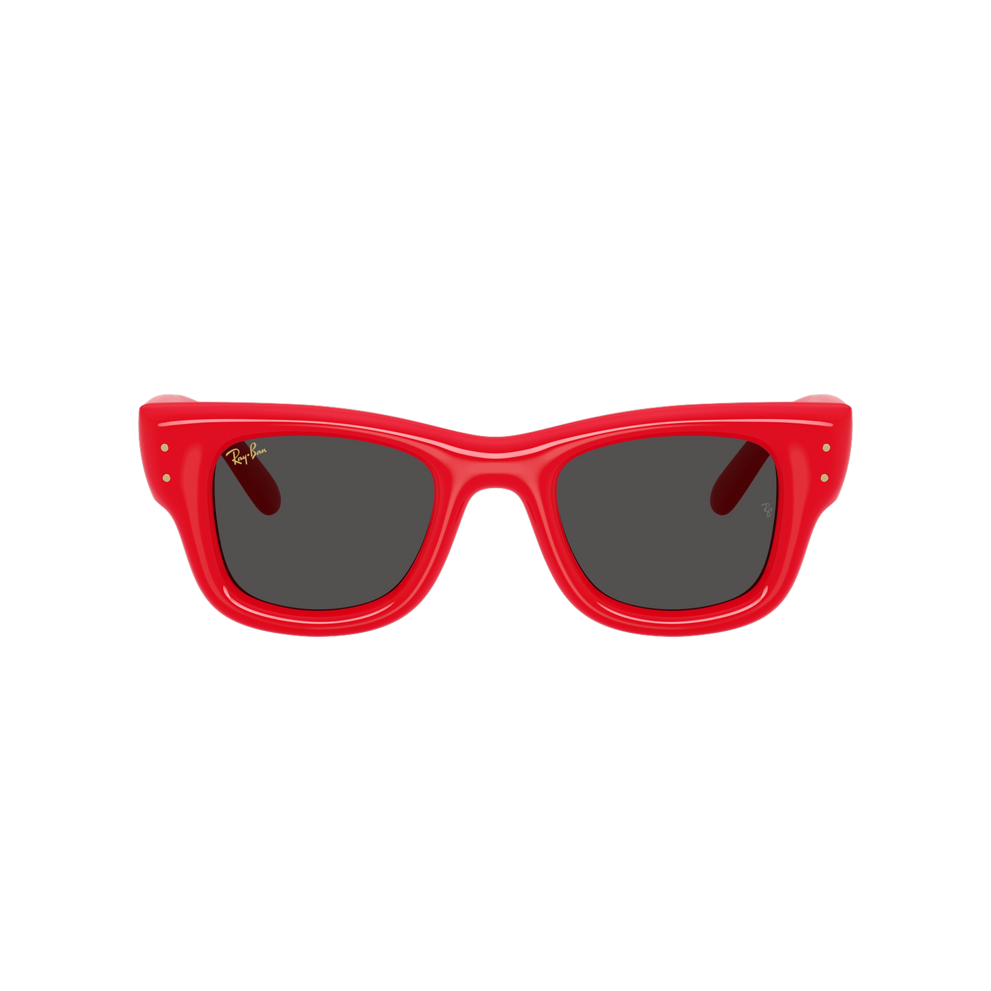 Ray-Ban 4940 SOLE
