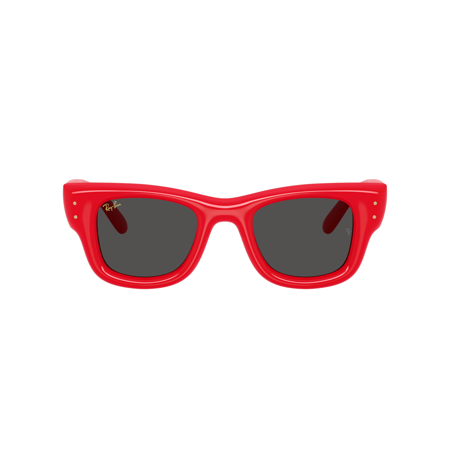 Ray-Ban 4940 SOLE