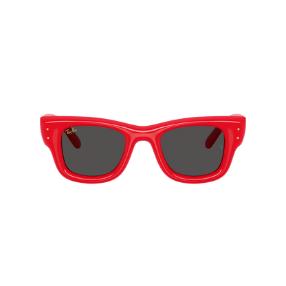 Ray-Ban 4940 SOLE