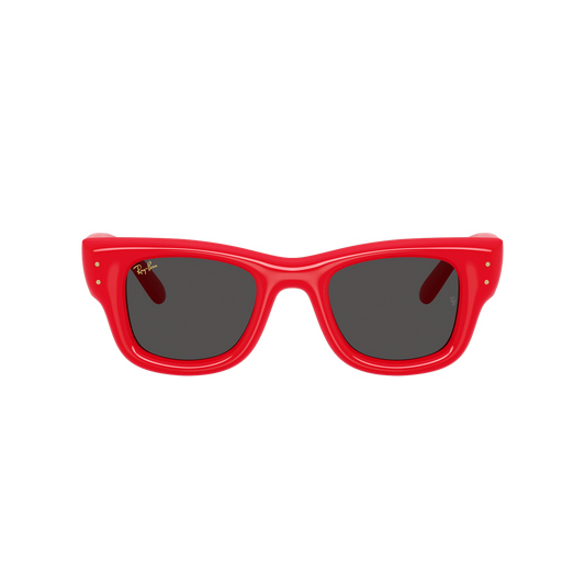Ray-Ban 4940 SOLE