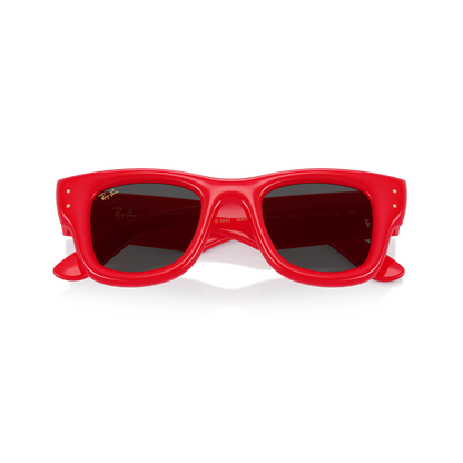 Ray-Ban 4940 SOLE