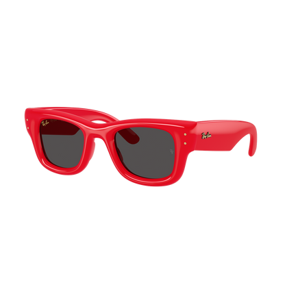 Ray-Ban 4940 SOLE