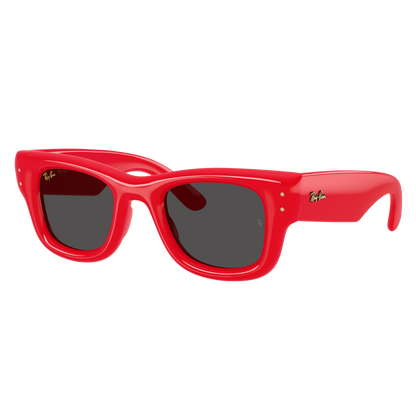 Ray-Ban 4940 SOLE