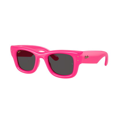 Ray-Ban 4940 SOLE
