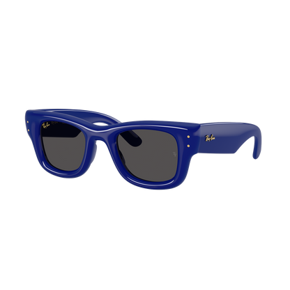 Ray-Ban 4940 SOLE