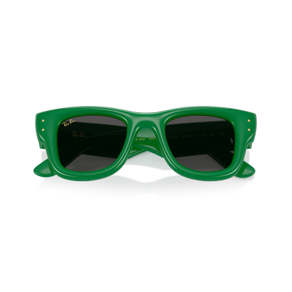 Ray-Ban 4940 SOLE
