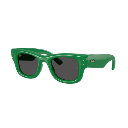 Ray-Ban 4940 SOLE
