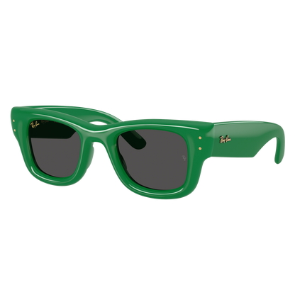 Ray-Ban 4940 SOLE