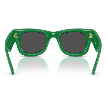 Ray-Ban 4940 SOLE