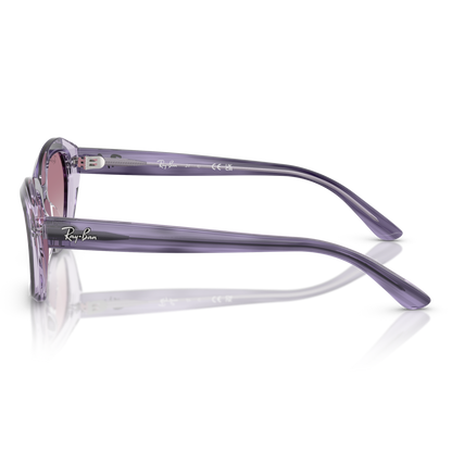 Ray-Ban Junior 9081S SOLE