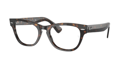 Ray-Ban Optical 2201V VISTA