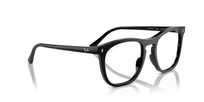 Ray-Ban Optical 2210V VISTA