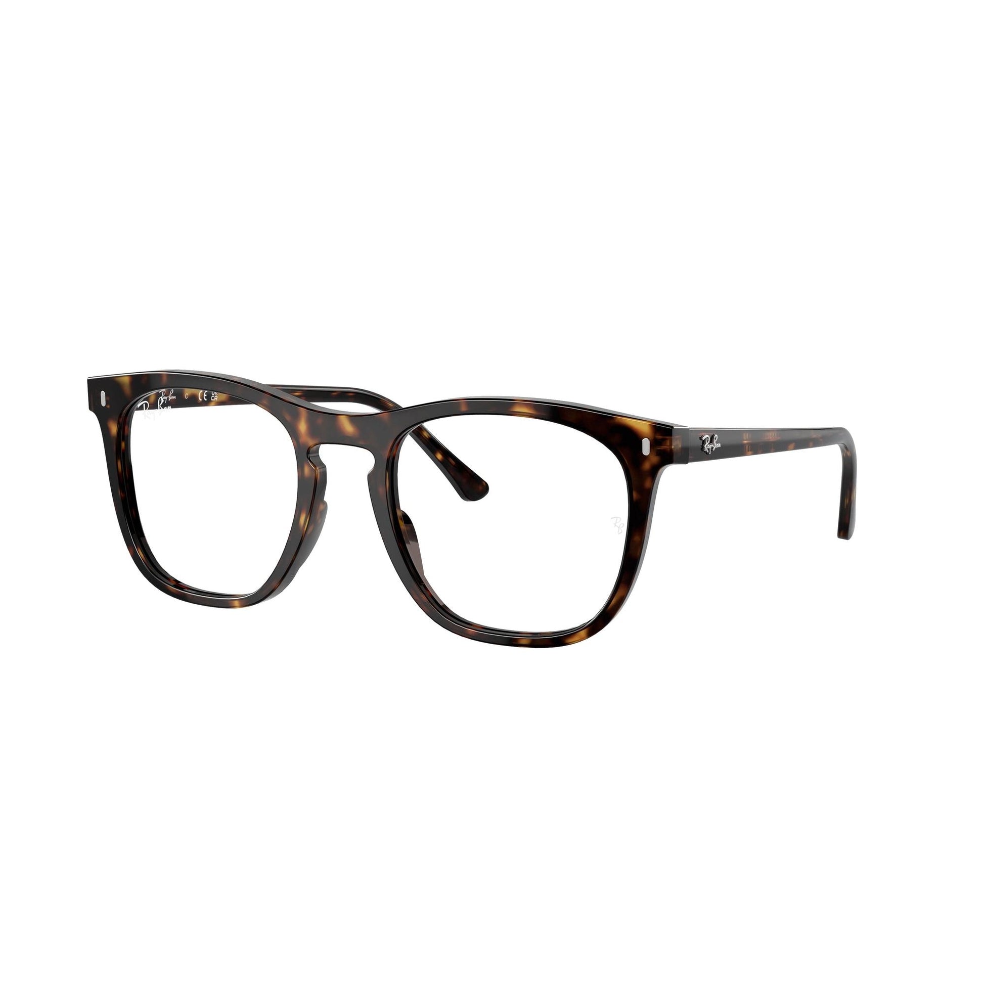 Ray-Ban Optical 2210V VISTA