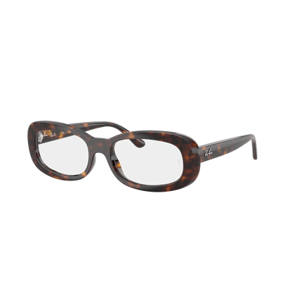 Ray-Ban Vista 2221V VISTA