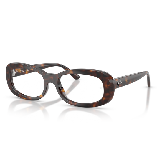 Ray-Ban Vista 2221V VISTA