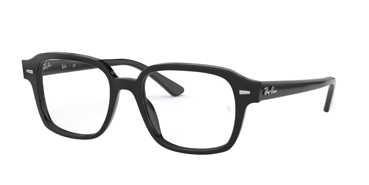 Ray-Ban Optical 5382 VISTA