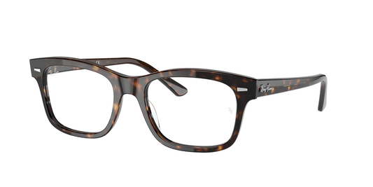 Ray-Ban Optical 5383 VISTA