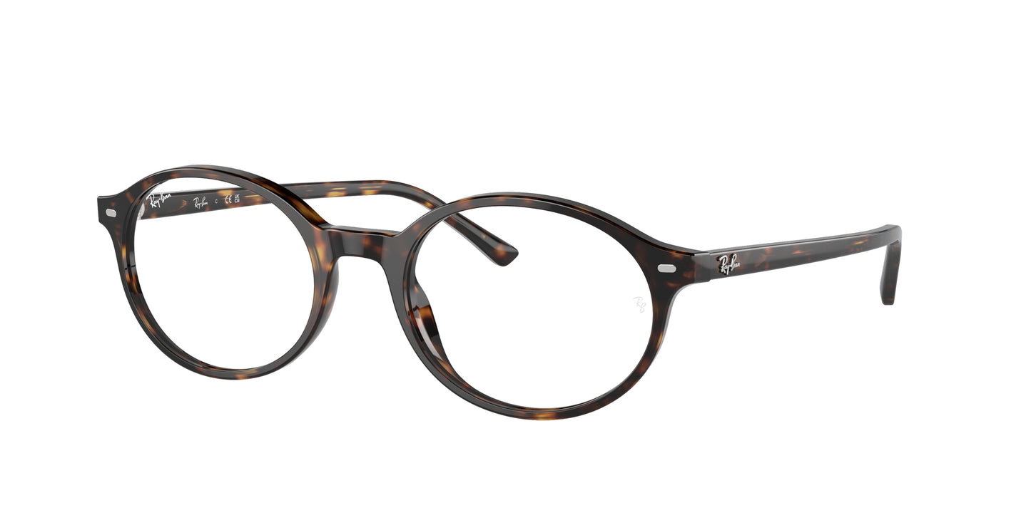 Ray-Ban Optical 5429 VISTA