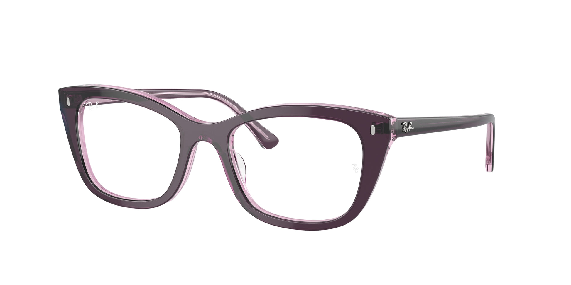 Ray-Ban Optical 5433 VISTA