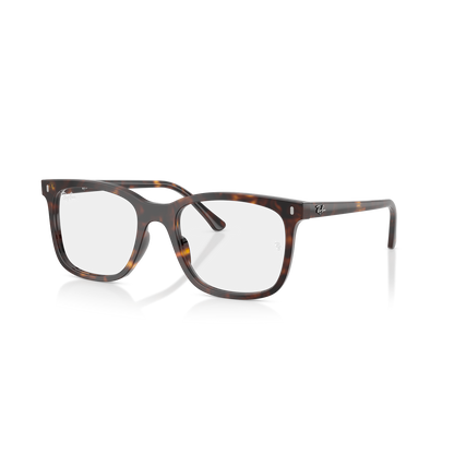 Ray-Ban Vista 5446 VISTA