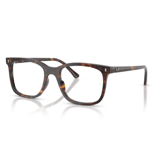 Ray-Ban Vista 5446 VISTA